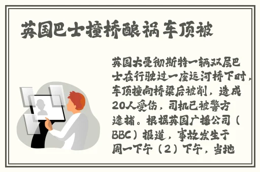 黄瓜香蕉丝瓜榴莲番茄黄